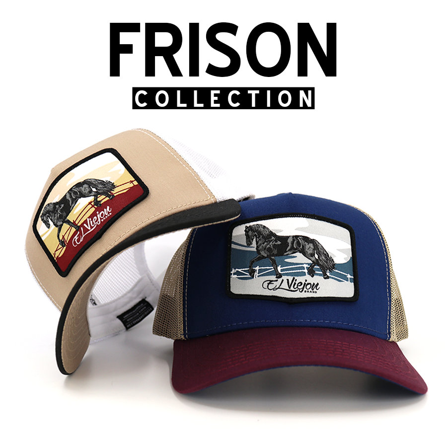 Frison Collection