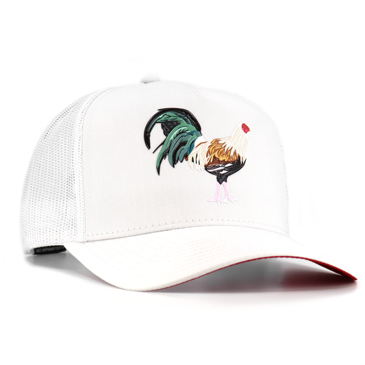 White Gallo Giro AVC hat with colorful rooster embroidery, white mesh back, and red under visor.
