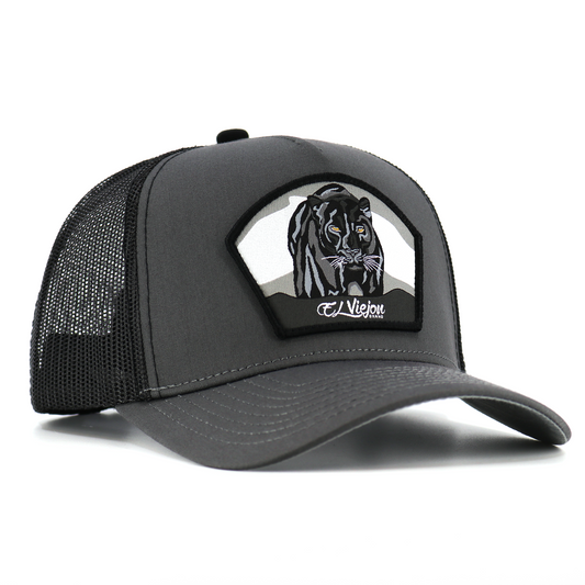 Pantera Negra charcoal/black AVC hat with black panther patch, mesh back, and snapback closure.